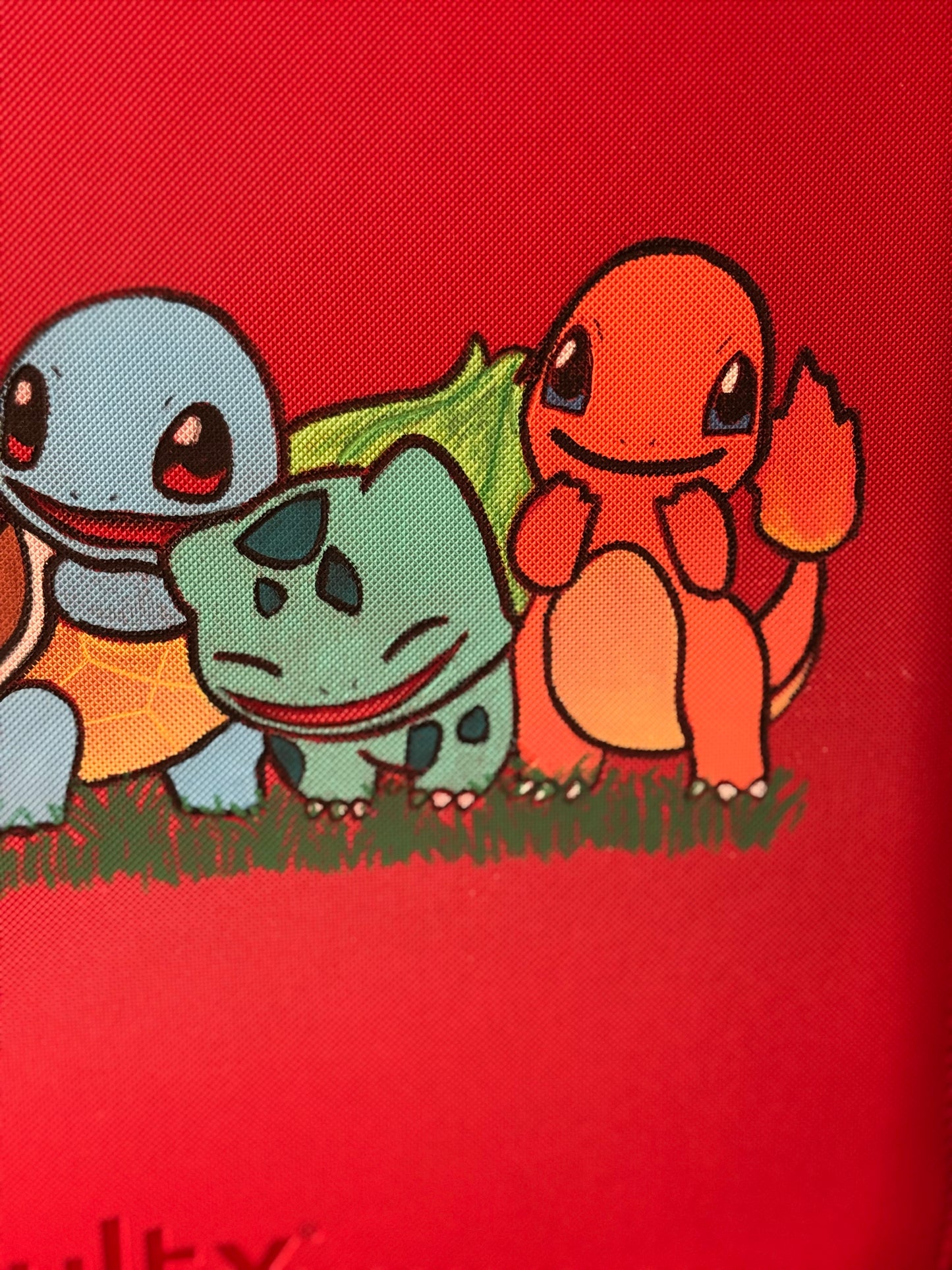 Hand-Painted Starter Binder – 9 Pocket VaultX Binder