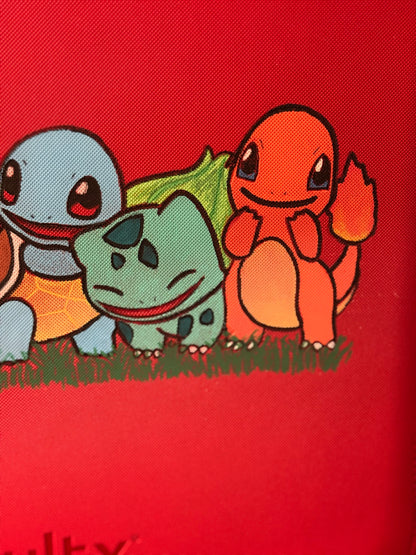 Hand-Painted Starter Binder – 9 Pocket VaultX Binder